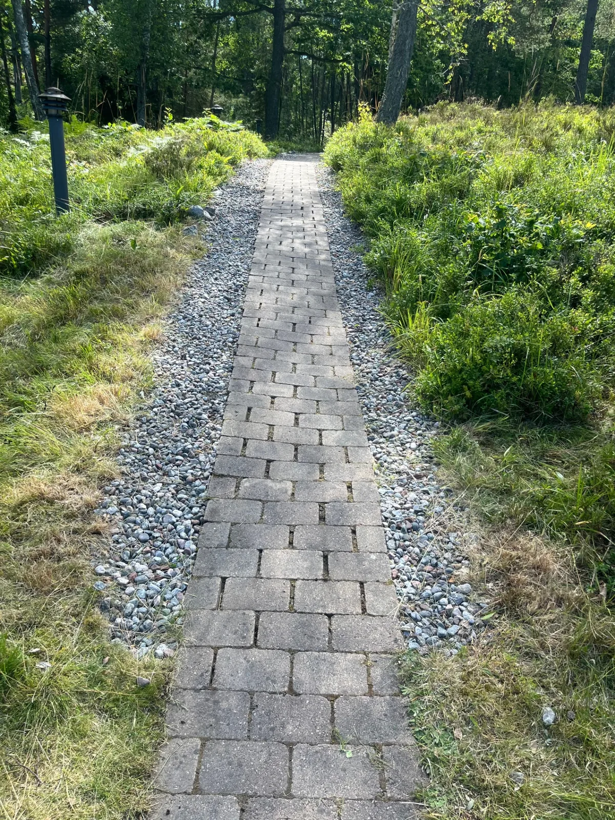 Nyrensad stengång i en trädgård i Gustavsberg, Värmdö