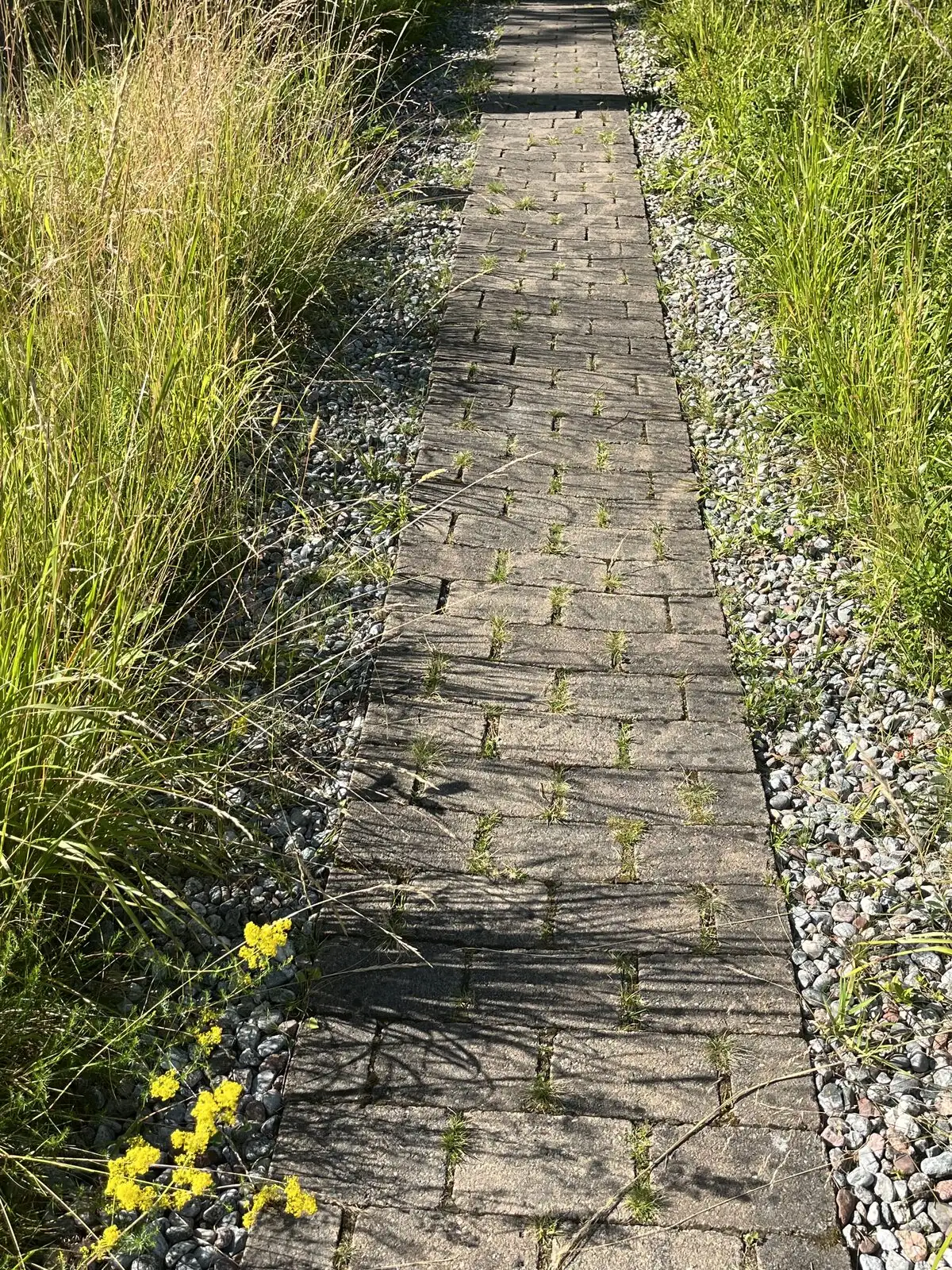 Tomt före tungt trädgårdsarbete