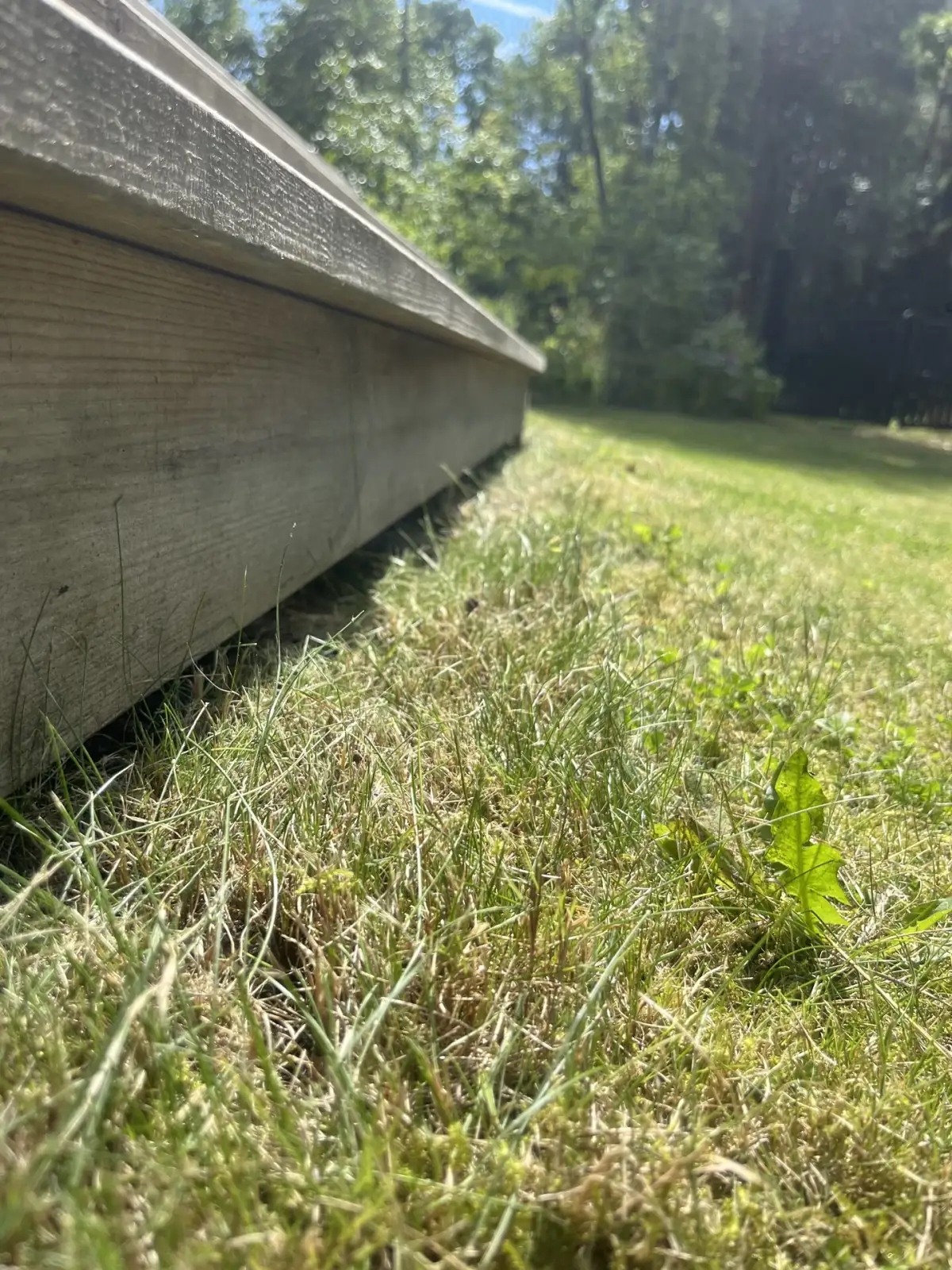 Trädgårdsarbete på en tomt på Ingarö i Värmdö
