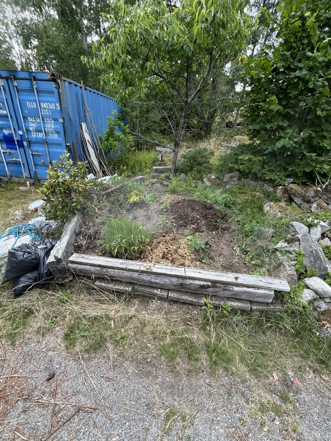 Igenvuxen rabatt på Ingarö före ogräsrensning och plantering